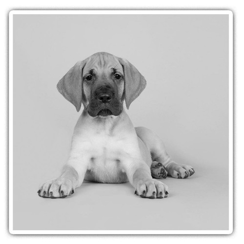 Square stickers cm - 2,