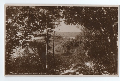 Vintage arnside postcard white - vintage,