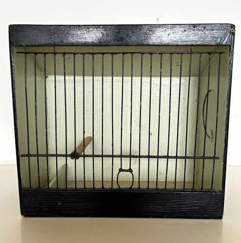 Vintage carrier pigeon bird - vintage,