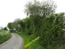 Photo 6x4 Bend in the road