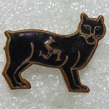 Isle of Man Black Manx Cat