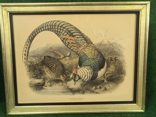 Vintage framed litho print - litho,