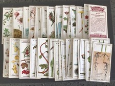 1923 players cigarette cards - players,