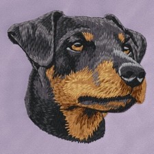 German Hunting Terrier Dog