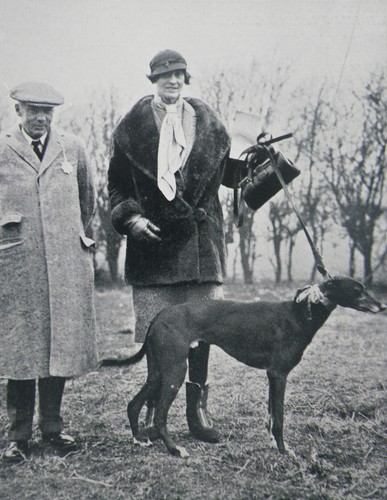Greyhound waterloo cup - waterloo,