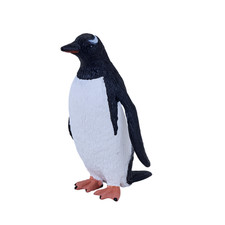 Gentoo Penguin wild plastic