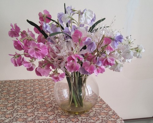 Nerine lily and - nerine,