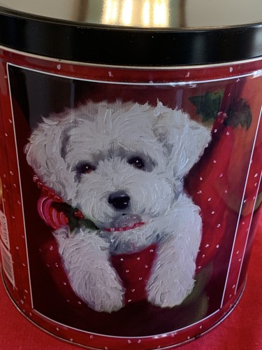 Darling cute vintage westie - darling,