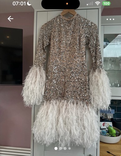 Sequin feather asos dress - feather,