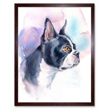 Dog Boston Terrier Watercolour