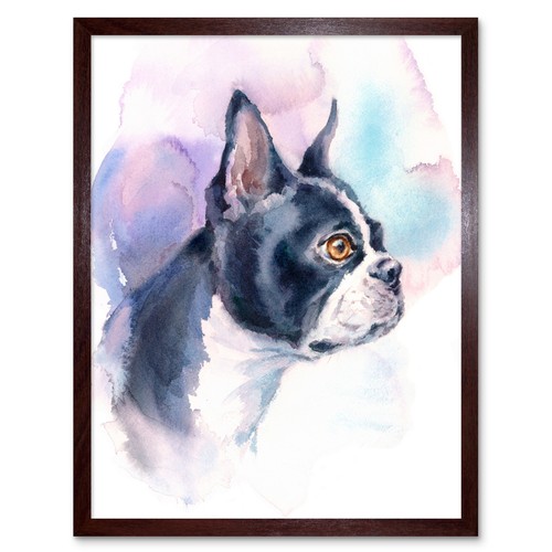 Dog boston terrier watercolour - boston,