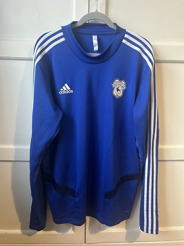 Cardiff city football - cardiff, training