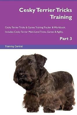 Cesky terrier tricks training - tricks,