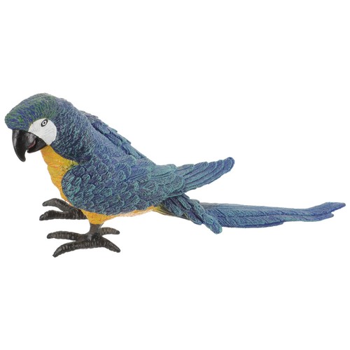 Realistic parrot bird - parrot,