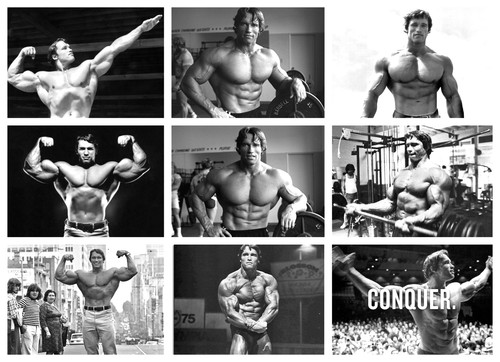 Arnold schwarzenegger arni - arnold,