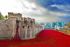 Tower of London Poppy Poppies Blood Swept Lands And Seas Of Red UK Photograph