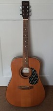Encore W255 Acoustic 6 Strings