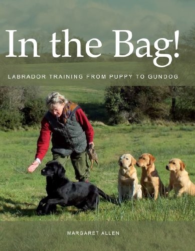 The bag labrador - bag!:, training