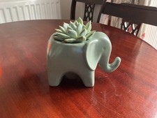 Elephant, ceramic pot plant
