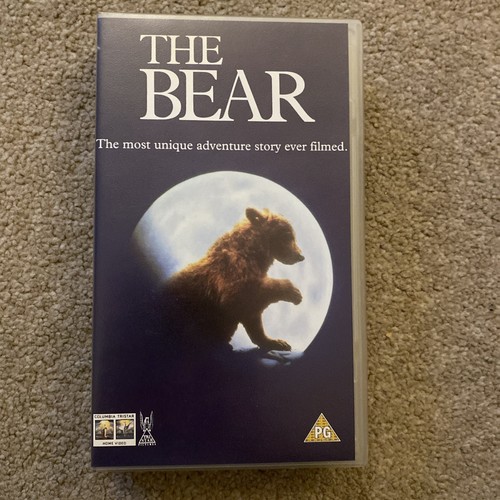 The bear most - the,