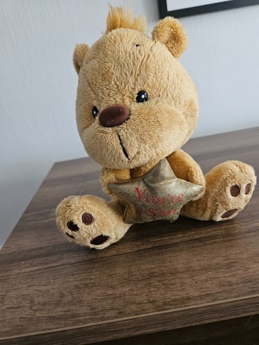 You star teddy bear - star,