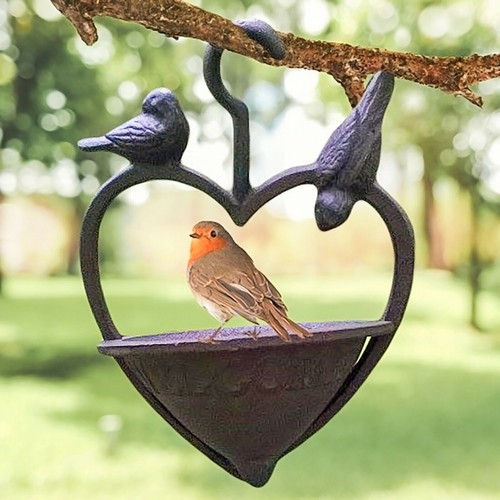 Garden bird feeder outdoor - bird,