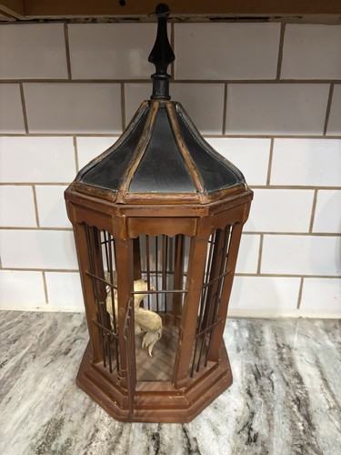 Vintage octagon dome shape top - octagon,