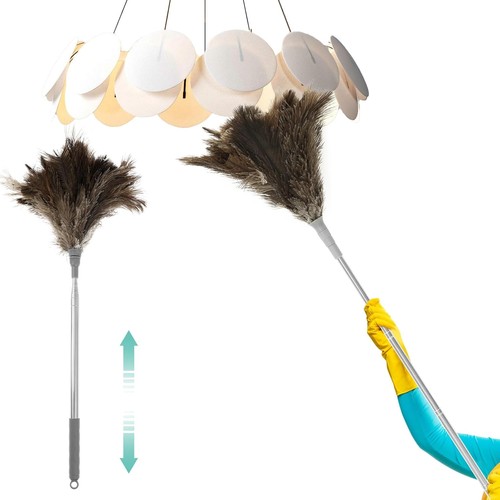 Ostrich feather dusters - feather,
