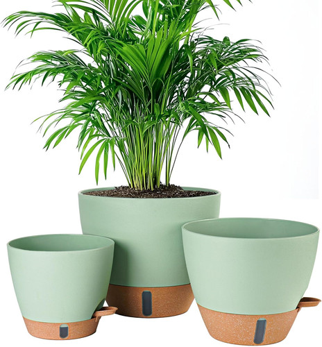 Inch self watering - 8/10/12,