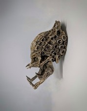 Predator Skull Trophy