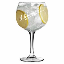 Personalised Large Schweppes