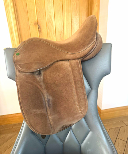 Ideal wide pony - wide, show