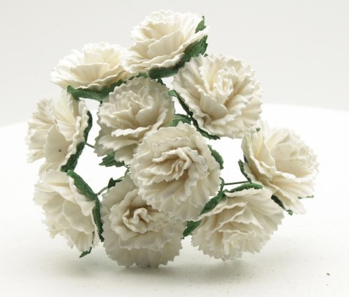 10x mulberry paper carnation - mulberry,