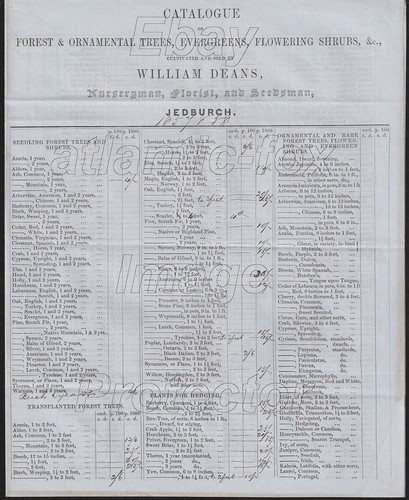 1857 jedburgh rare catalogue - 1857,