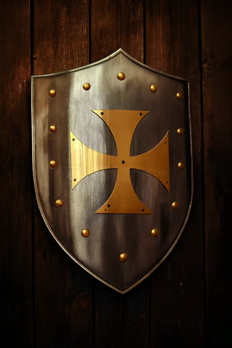 Medieval shield with brass - shield,