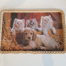 Dog Puppy Kittens Cocker