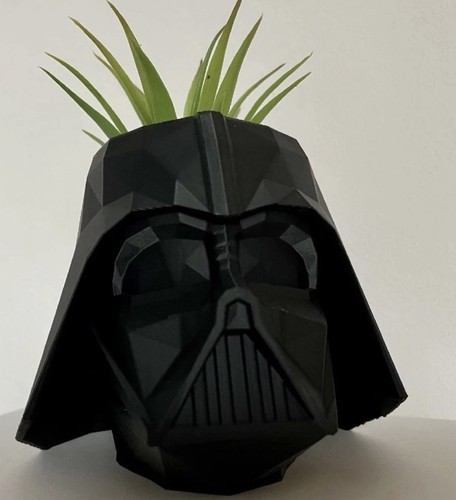 Darth vader helmet plant - darth,