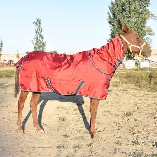 Waterproof horse turnout - horse,