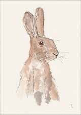 Original Signed Watercolour And Ink Sketch Of A Hare Wildlife Wall Art Nature