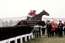 DAWN RUN JOHN JO O'NEILL 1986