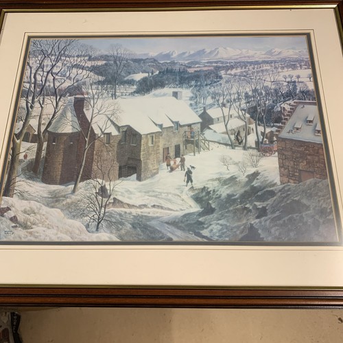 Winter angus - winter, in