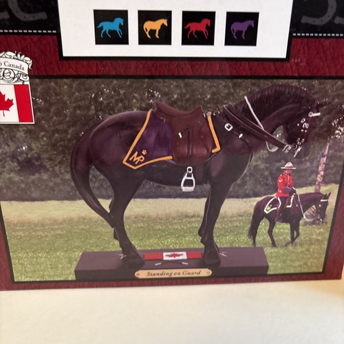 The trail painted ponies - the,