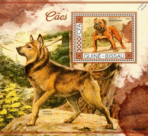 Dogs english - dogs, (english