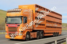 Thh truck photos - photos,