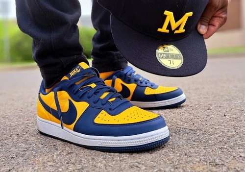 Nike terminator low - low, uk