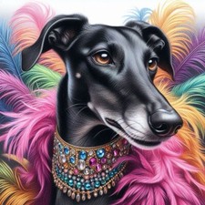Glamorous Greyhound , Lurcher