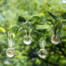 4pcs wall hanging planter - wall,