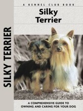 Silky Terrier: A Comprehensive