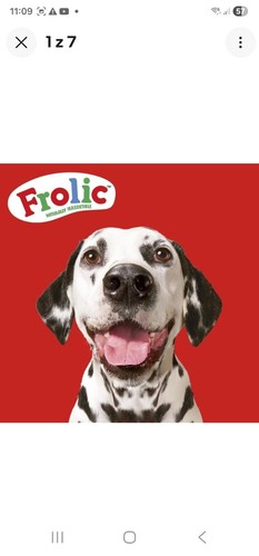 Frolic dry perfectly balanced - dry,