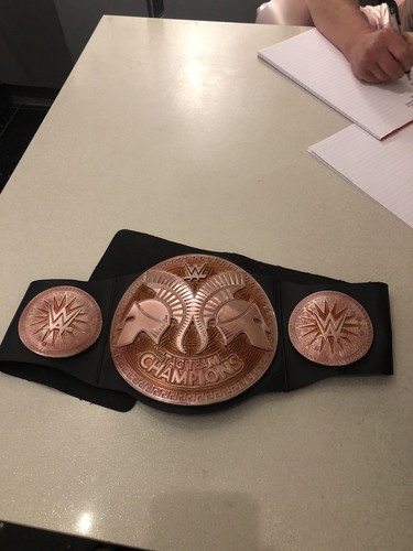 Wwe kids wrestling tag team - kids,